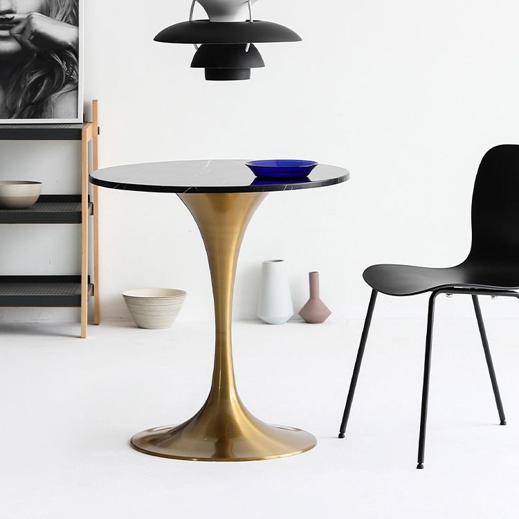 Metal Modern Round Dining Table Marble Top Indoor Table with Tulip Base Clearhalo ' dining_table' 'Dining Tables & Seating' 'Dining Tables' 'furn' 'furn_dining_table' 'Furniture' 'furniture_dining_table' 'Kitchen & Dining Furniture' 'kitchen&dining_furn' 'kitchen' 'kitchen_dining_table' 1200x1200_f6fd0f62-4192-404e-8bf0-873c4c4512d0