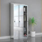 Chrome Steel Cabinet with Hinged Doors Modern Storage Cabinet for Bathroom