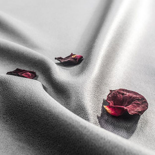 Il divano di divano di divano a letto di metallo contemporanei cuscino e materasso