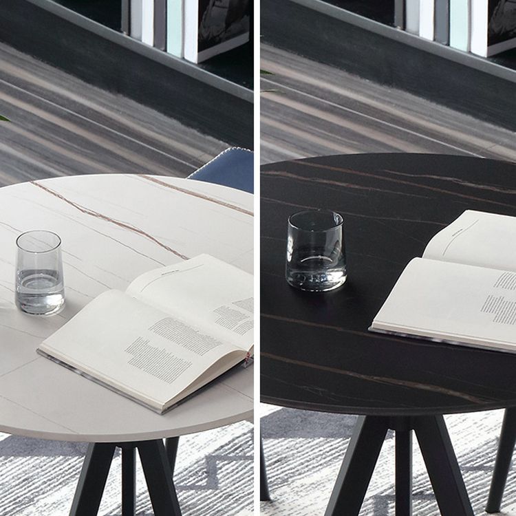 Modern Style Sintered Stone Dining Table Round Dinner Table with Pedestal Base Clearhalo ' dining_table' 'Dining Tables & Seating' 'Dining Tables' 'furn' 'furn_dining_table' 'Furniture' 'furniture_dining_table' 'Kitchen & Dining Furniture' 'kitchen&dining_furn' 'kitchen' 'kitchen_dining_table' 1200x1200_f7d3b261-0f86-42d4-a696-e42e92221be8