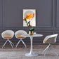 Round Sintered Stone White Dining Table Minimalist Tulip Base Table for Dining Room Clearhalo ' dining_table' 'Dining Tables & Seating' 'Dining Tables' 'furn' 'furn_dining_table' 'Furniture' 'furniture_dining_table' 'Kitchen & Dining Furniture' 'kitchen&dining_furn' 'kitchen' 'kitchen_dining_table' 1200x1200_f89c4f32-9539-450f-b834-2955ab9d0164