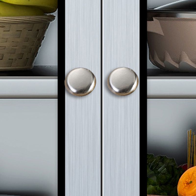 Modern Stainless Steel Dining Server Silver Adjustable Shelving Cabinets with Door Clearhalo 'buffet_sideboard' 'Buffets & Sideboards' 'furn' 'furn_buffet_sideboard' 'Furniture' 'furniture_buffet_sideboard' 'Kitchen & Dining Furniture' 1200x1200_f8af3525-a655-41da-a5b0-1601bcb2d182