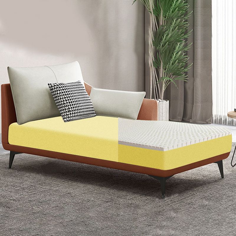 Modern Chaise Lounge Couch One Armed Chaise Lounge with Pillows Clearhalo 'Chairs & Seating' 'Chaise Lounge' 'chaise_lounge' 'furn' 'furn_chaise_lounge' 'Furniture' 'Living Room Furniture' 1200x1200_f8be4756-4a38-41d1-b21b-af952684cf56