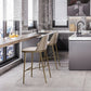 Glam Backrest Armless Counter Stool Iron Bar Stool with Cushion for Cafe Clearhalo 'Bar Furniture' 'Bar Stools' 'bar_stools' 'furn' 'furn_bar_stools' 'Furniture' 'Kitchen & Dining Furniture' 1200x1200_f8c151f3-b2f2-4f44-b52e-c655038cf1e8