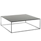 Mid-Century Modern Iron Square Coffee Table with Frame Base Coffee Table Clearhalo 'Coffee & Accent Tables' 'Coffee Tables' 'coffee_tables' 'furn' 'furn_coffee_tables' 'Furniture' 'Living Room Furniture' 1200x1200_f8eb87fa-4798-4e4f-89ad-0856e2ad432f