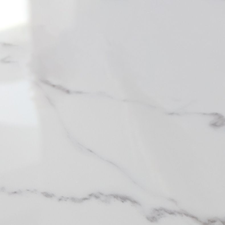 Nordic Style 1/4/5/7 Pieces Dining Set Sintered Stone Dining Table Set with Metal Legs Clearhalo 'Dining Room Sets' 'Dining Tables & Seating' 'dining_room_set' 'furn' 'furn_dining_room_set' 'Furniture' 'furniture_dining_room_set' 'Kitchen & Dining Furniture' 'kitchen&dining_furn' 'kitchen' 1200x1200_f9322f59-4317-41af-859e-029435e909f0