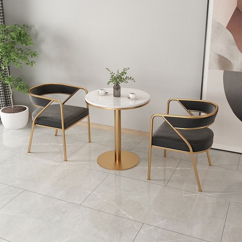Dining Room Glam Chair Gold Legs Velvet Arm Chair with Upholstered