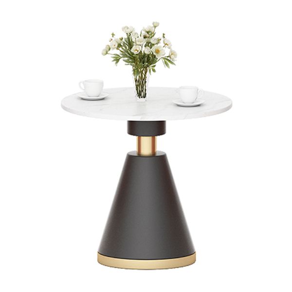 Luxury Sintered Stone Top Dining Table Indoor Round Table with Metal Pedestal Clearhalo 'Dining Tables & Seating' 'Dining Tables' 'dining_table' 'furn' 'furn_dining_table' 'Furniture' 'furniture_dining_table' 'Kitchen & Dining Furniture' 'kitchen' 'kitchen_dining_table' 1200x1200_f99102cf-78be-44e1-b967-51e6ae4b6cc8