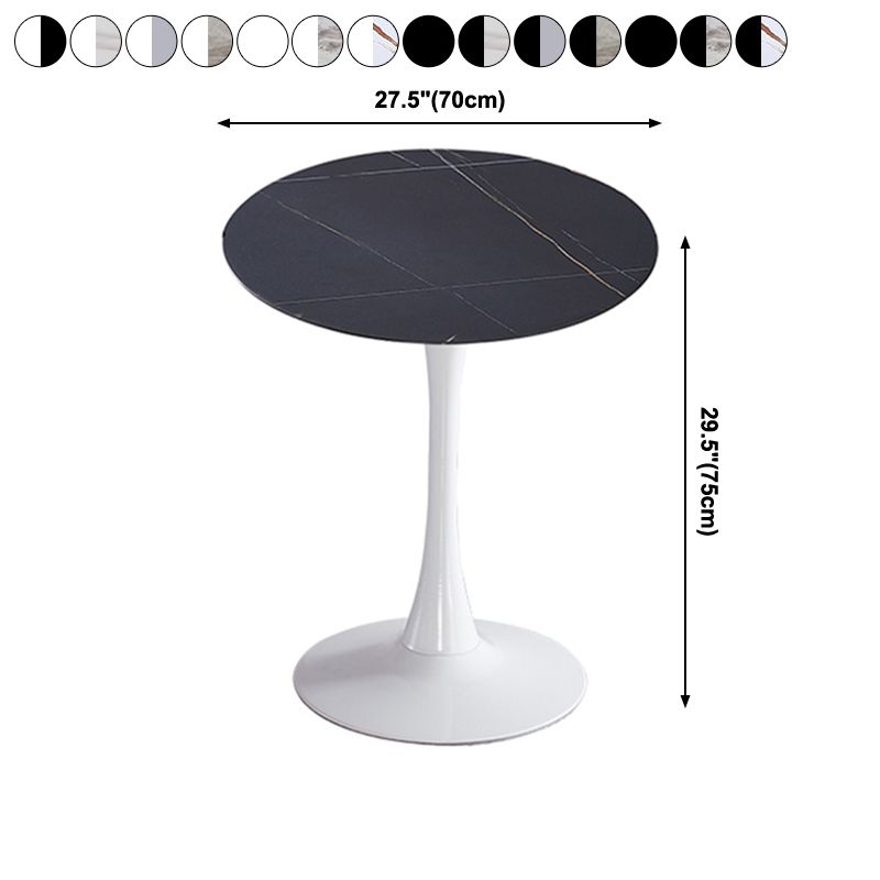 Modern Style Round Dining Table Sintered Stone Dinner Table with Tulip Base Clearhalo ' dining_table' 'Dining Tables & Seating' 'Dining Tables' 'furn' 'furn_dining_table' 'Furniture' 'furniture_dining_table' 'Kitchen & Dining Furniture' 'kitchen&dining_furn' 'kitchen' 'kitchen_dining_table' 1200x1200_f9b1a0bc-b4d5-486e-9ca5-c4c05e6eb37c