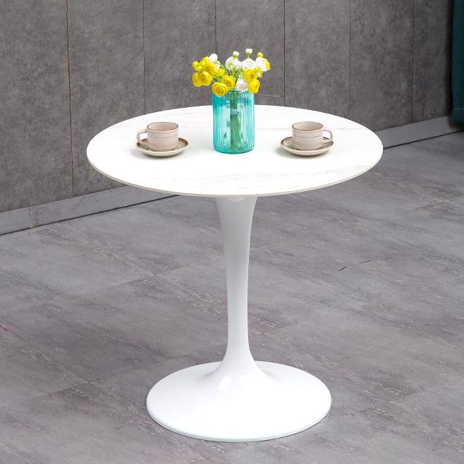 Modern Style Sintered Stone Scratch Resistant Dining Table Single Pedestal Base Round Table for Home Clearhalo ' dining_table' 'Dining Tables & Seating' 'Dining Tables' 'furn' 'furn_dining_table' 'Furniture' 'furniture_dining_table' 'Kitchen & Dining Furniture' 'kitchen&dining_furn' 'kitchen' 'kitchen_dining_table' 1200x1200_fa290058-c8dc-492a-a18c-21b437d0ec23