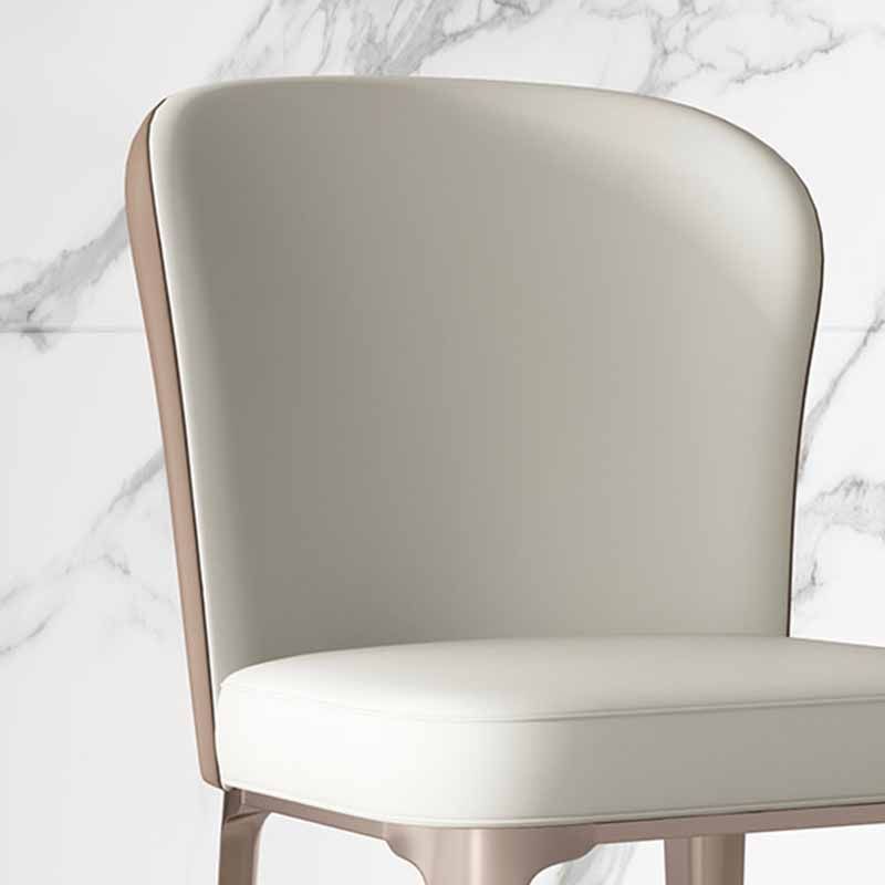 Contemporary Style Dining Chairs Metal Armless Side Parsons Chairs for Kitchen Clearhalo ' kitchen&dining_furn' 'Dining Chairs' 'Dining Tables & Seating' 'dining_chair' 'furn' 'furn_dining_chair' 'Furniture' 'furniture_dining_chair' 'Kitchen & Dining Furniture' 'kitchen' 1200x1200_fa330afc-51c4-43a9-9e38-d5aa0bc59992