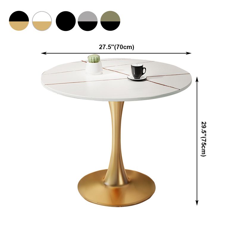 Round Furniture Traditional Luxury Stone Tulip Base Dining Room Collection Clearhalo ' dining_table' 'Dining Tables & Seating' 'Dining Tables' 'furn' 'furn_dining_table' 'Furniture' 'furniture_dining_table' 'Kitchen & Dining Furniture' 'kitchen&dining_furn' 'kitchen' 'kitchen_dining_table' 1200x1200_fa37fe70-c234-4e07-a763-8d7ba382081d