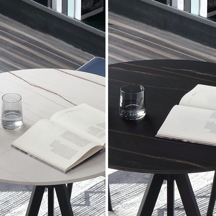 Contemporary Round Shape Standard Dining Table Sintered Stone Dining Table for Kitchen Clearhalo ' dining_table' 'Dining Tables & Seating' 'Dining Tables' 'furn' 'furn_dining_table' 'Furniture' 'furniture_dining_table' 'Kitchen & Dining Furniture' 'kitchen&dining_furn' 'kitchen' 'kitchen_dining_table' 1200x1200_fa4d98f8-a809-4fef-bfc6-4d5838fd2c2d