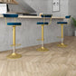 Glam Liftable Backrest Counter Stool Steel Kitchen Bar Stool with Cushion and Pedal Clearhalo 'Bar Furniture' 'Bar Stools' 'bar_stools' 'furn' 'furn_bar_stools' 'Furniture' 'furniture_bar_stools' 'Kitchen & Dining Furniture' 1200x1200_fac484ac-710e-4119-9952-4e4fbc2e7bd3