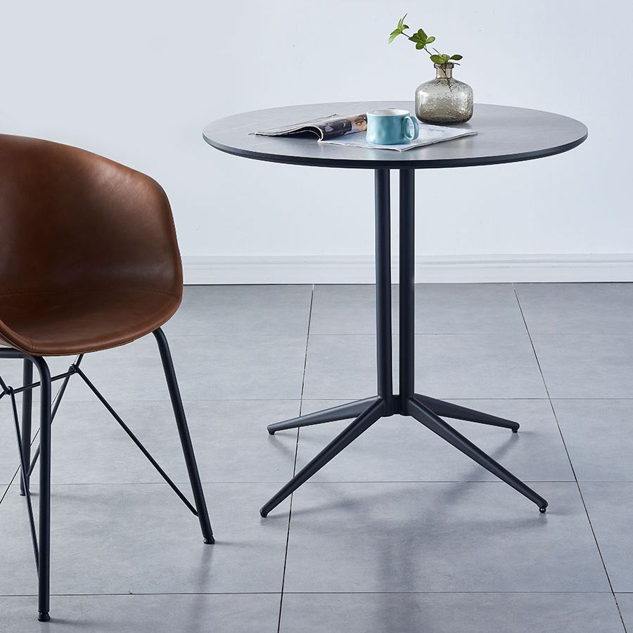 Metal Contemporary Round Dining Table Wood Top Indoor Table with Pedestal Base Clearhalo ' dining_table' 'Dining Tables & Seating' 'Dining Tables' 'furn' 'furn_dining_table' 'Furniture' 'furniture_dining_table' 'Kitchen & Dining Furniture' 'kitchen&dining_furn' 'kitchen' 'kitchen_dining_table' 1200x1200_fb0d9c11-0798-4d7a-b4e6-eed099ce508e