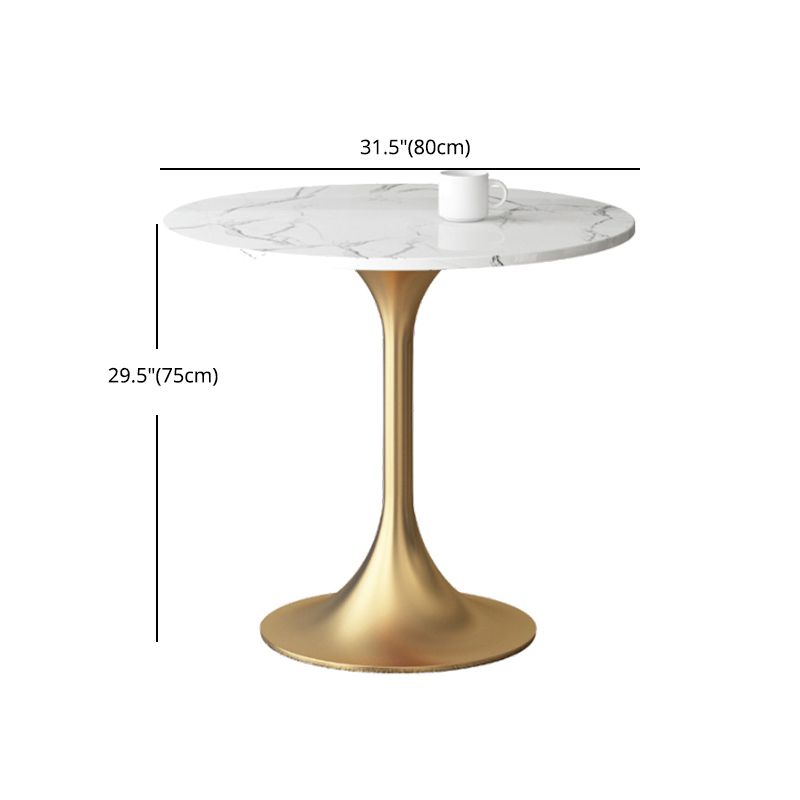 1/3/4/5 Pcs Metal Scandinavian Dining Room Set with Round Table Dinette Set Clearhalo 'Dining Room Sets' 'Dining Tables & Seating' 'dining_room_set' 'furn' 'furn_dining_room_set' 'Furniture' 'furniture_dining_room_set' 'Kitchen & Dining Furniture' 'kitchen&dining_furn' 'kitchen' 1200x1200_fb6e2067-e6d4-418f-9977-f898000802db
