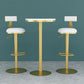 Glam Liftable Backrest Counter Stool Iron Household Bar Stool with Cushion Clearhalo 'Bar Furniture' 'Bar Stools' 'bar_stools' 'furn' 'furn_bar_stools' 'furniture_bar_stools' 'Kitchen & Dining Furniture' 'kitchen&dining_furn' 'kitchen' 'kitchen_furn' Furniture' 1200x1200_fb79dd74-39b5-46f6-a242-7f3980ded896