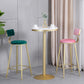 Glam Armless Backrest Counter Stool Iron Milk Tea Shop Bar Stool with Velvet Cushion Clearhalo 'Bar Furniture' 'Bar Stools' 'bar_stools' 'furn' 'furn_bar_stools' 'furniture_bar_stools' 'Kitchen & Dining Furniture' 'kitchen&dining_furn' 'kitchen' 'kitchen_furn' Furniture' 1200x1200_fba2b4ec-f328-498b-ab71-ddc61d55519e