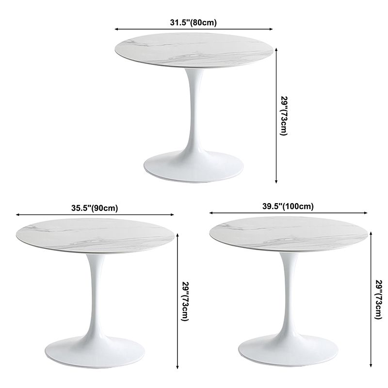 Round Tulip Base Modern Dining Table White Fixed Table with Sintered Stone Clearhalo ' dining_table' 'Dining Tables & Seating' 'Dining Tables' 'furn' 'furn_dining_table' 'Furniture' 'furniture_dining_table' 'Kitchen & Dining Furniture' 'kitchen&dining_furn' 'kitchen' 'kitchen_dining_table' 1200x1200_fbadf649-5666-4ebb-a398-6fc541af0cfc