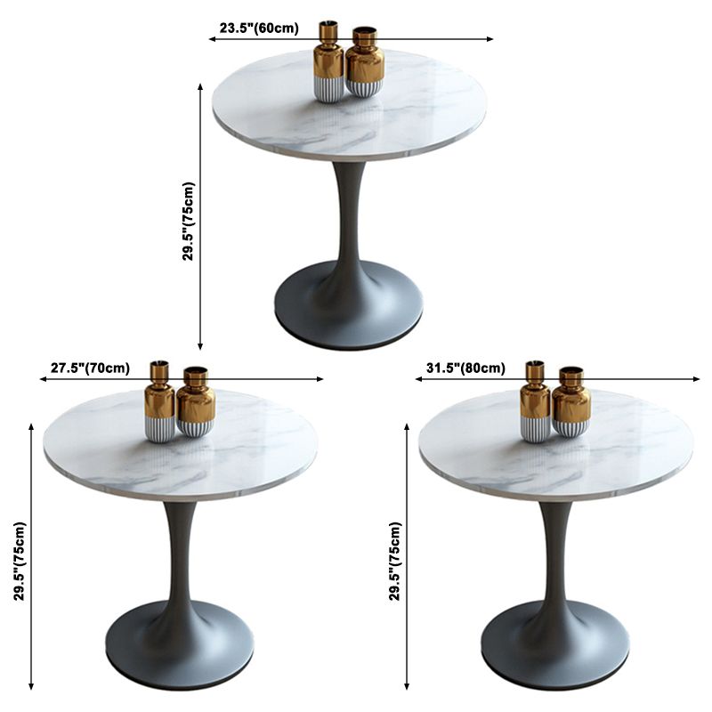 Metal Contemporary Round Dining Table Sintered Stone Dining Table with Pedestal Base Clearhalo ' dining_table' 'Dining Tables & Seating' 'Dining Tables' 'furn' 'furn_dining_table' 'Furniture' 'furniture_dining_table' 'Kitchen & Dining Furniture' 'kitchen&dining_furn' 'kitchen' 'kitchen_dining_table' 1200x1200_fbf909b2-4c99-435e-896d-b5c9ef6ea266