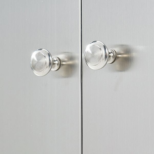 Stainless Steel Kitchen Sideboard Cabinet Modern Server Cabinet with Storage Clearhalo 'buffet_sideboard' 'Buffets & Sideboards' 'furn' 'furn_buffet_sideboard' 'Furniture' 'furniture_buffet_sideboard' 'Kitchen & Dining Furniture' 1200x1200_fc7462db-9913-4dff-9f45-d3cbe6b39a6c