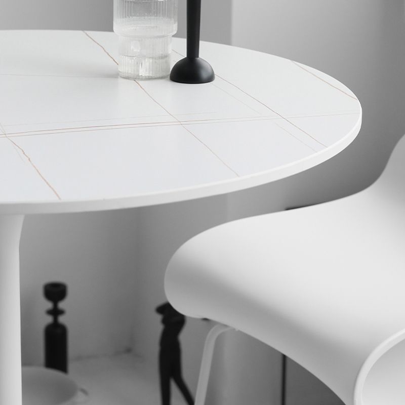 Contemporary Round Bar Height Table Metal Pedestal Bar Table for Cafe and Breakroom Clearhalo 'Bar Furniture' 'Bar Tables' 'bar_tables' 'furn' 'furn_bar_tables' 'Furniture' 'Kitchen & Dining Furniture' 1200x1200_fd091d1b-d747-44fb-898f-fa9585a051e8