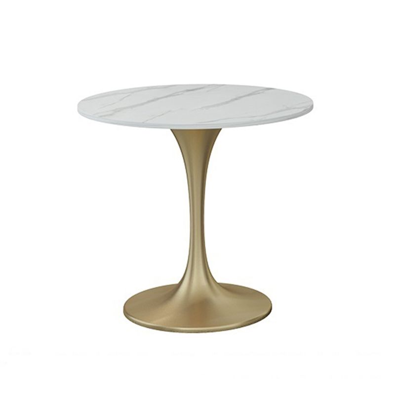 Round Luxury Dining Table White Fixed Table with Sintered Stone Clearhalo 'Dining Tables & Seating' 'Dining Tables' 'dining_table' 'furn' 'furn_dining_table' 'Furniture' 'furniture_dining_table' 'Kitchen & Dining Furniture' 'kitchen' 'kitchen_dining_table' 1200x1200_fd2b13de-e558-4d71-8f2c-25cd29cb4004