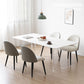 Sintered Stone Dining Table Modern Rectangle Dining Table with Acrylic Base Clearhalo ' dining_table' 'Dining Tables & Seating' 'Dining Tables' 'furn' 'furn_dining_table' 'Furniture' 'furniture_dining_table' 'Kitchen & Dining Furniture' 'kitchen&dining_furn' 'kitchen' 'kitchen_dining_table' 1200x1200_fd3d14f3-36cd-48b5-a83c-6d356fb85ef2