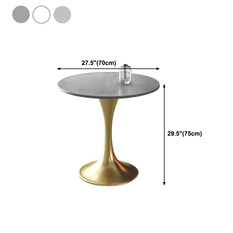 Traditional Luxury Dining Table Sintered Stone Tulip Table for Dining Room Clearhalo 'Dining Tables & Seating' 'Dining Tables' 'dining_table' 'furn' 'furn_dining_table' 'Furniture' 'Kitchen & Dining Furniture' 1200x1200_fd6f8118-a2fa-4086-abd4-55f15e2d5fe8