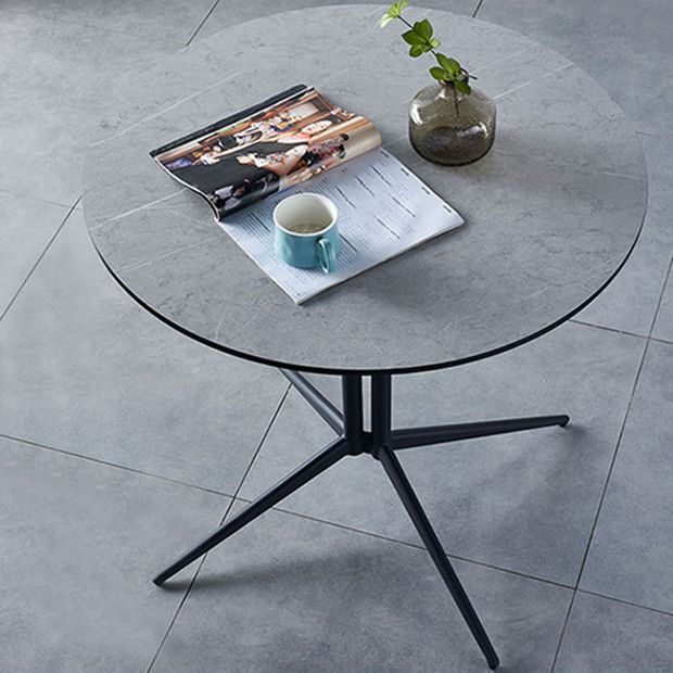 Metal Contemporary Round Dining Table Wood Top Indoor Table with Pedestal Base Clearhalo ' dining_table' 'Dining Tables & Seating' 'Dining Tables' 'furn' 'furn_dining_table' 'Furniture' 'furniture_dining_table' 'Kitchen & Dining Furniture' 'kitchen&dining_furn' 'kitchen' 'kitchen_dining_table' 1200x1200_fdbba654-e3db-4baa-98c9-13238d815690