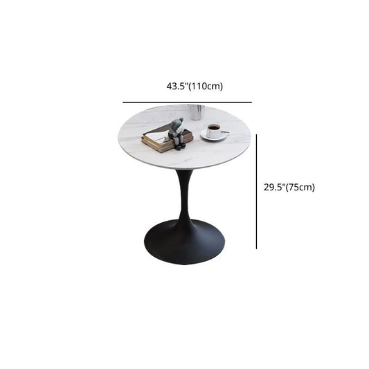 Modern 1/2/3/4/5 Pieces Dining Set Round Stone Dining Table for Dining Room Clearhalo 'Dining Room Sets' 'Dining Tables & Seating' 'dining_room_set' 'furn' 'furn_dining_room_set' 'Furniture' 'furniture_dining_room_set' 'Kitchen & Dining Furniture' 1200x1200_fdcce08a-df21-4b40-b03e-4fd4a6a161d4