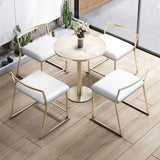 Glam Metal Dining Room Chair Armless Velvet Dining Side Chair for Restaurant Use Clearhalo 'Dining Chairs' 'Dining Tables & Seating' 'dining_chair' 'furn' 'furn_dining_chair' 'Furniture' 'Kitchen & Dining Furniture' 1200x1200_fddeaf5e-56ac-471b-8627-bab50e884c11