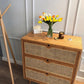 Gabinetto di sideboard del soggiorno rattan mobile moderno server buffet con cassetto