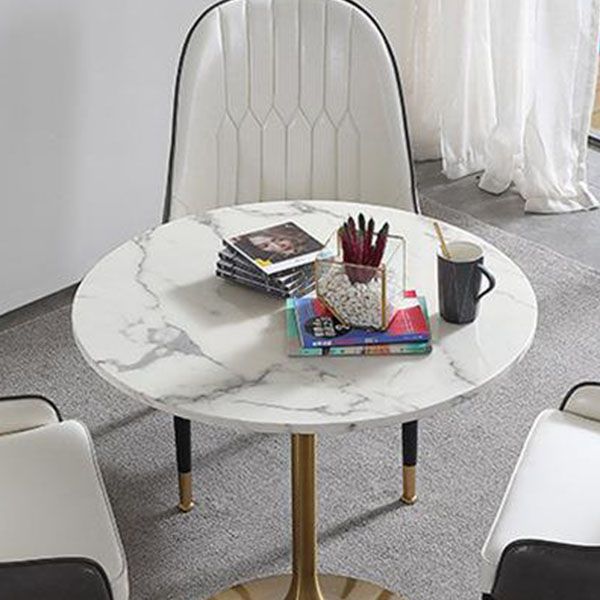 Contemporary Marble Dining Set 1/2/4/5 Pieces Round Dining Table Set with Padded Chairs Clearhalo 'Dining Room Sets' 'Dining Tables & Seating' 'dining_room_set' 'furn' 'furn_dining_room_set' 'Furniture' 'Kitchen & Dining Furniture' 1200x1200_fe13ce80-848b-4ef5-bad7-1b3e01f3c755