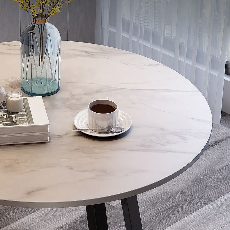Traditional Luxury Round Dining Room Table Sintered Stone Table with Double Pedestal Clearhalo ' dining_table' 'Dining Tables & Seating' 'Dining Tables' 'furn' 'furn_dining_table' 'Furniture' 'furniture_dining_table' 'Kitchen & Dining Furniture' 'kitchen&dining_furn' 'kitchen' 'kitchen_dining_table' 1200x1200_fe178d63-0e7f-4932-b500-0c33c6768bdf