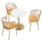 Glam Sintered Stone Dining Table Set Round 1/3/4/5 Pieces Dining Set for Home Use Clearhalo 'Dining Room Sets' 'Dining Tables & Seating' 'dining_room_set' 'furn' 'furn_dining_room_set' 'Furniture' 'Kitchen & Dining Furniture' 1200x1200_fe186c88-ed59-4159-b980-fb2fed3148cc