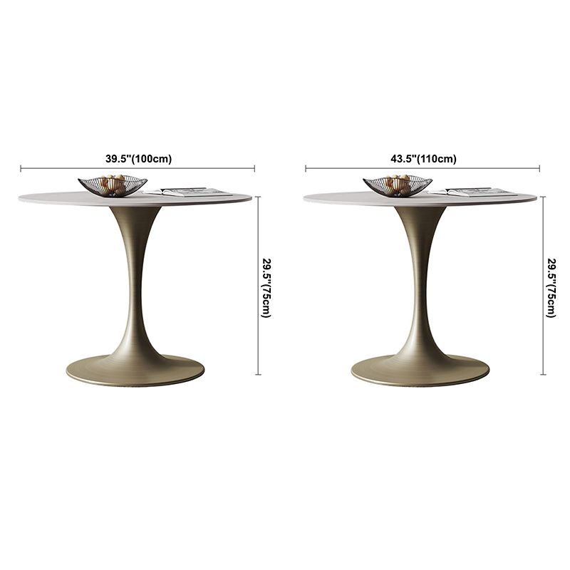 Round Tulip Base Dining Site Table Traditional Luxury Dinette Table for Home Clearhalo ' dining_table' 'Dining Tables & Seating' 'Dining Tables' 'furn' 'furn_dining_table' 'Furniture' 'furniture_dining_table' 'Kitchen & Dining Furniture' 'kitchen&dining_furn' 'kitchen' 'kitchen_dining_table' 1200x1200_fe45edf8-52be-410d-bb8b-10c9cefdf81c