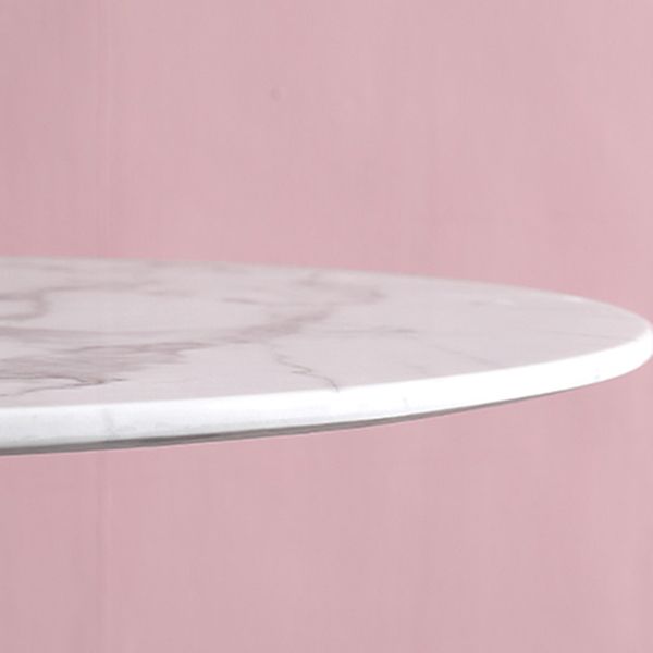 Metal Traditional Luxury Round Dining Table Marble Indoor Table Top with Pedestal Base Clearhalo ' dining_table' 'Dining Tables & Seating' 'Dining Tables' 'furn' 'furn_dining_table' 'Furniture' 'furniture_dining_table' 'Kitchen & Dining Furniture' 'kitchen&dining_furn' 'kitchen' 'kitchen_dining_table' 1200x1200_fe6a2085-f345-4394-8e7f-e549e291c992