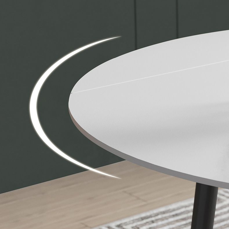 Modern Round Dining Table Sintered Stone Dining Table with 4 Black Legs for Home Kitchen Dinner Clearhalo ' dining_table' 'Dining Tables & Seating' 'Dining Tables' 'furn' 'furn_dining_table' 'Furniture' 'furniture_dining_table' 'Kitchen & Dining Furniture' 'kitchen&dining_furn' 'kitchen' 'kitchen_dining_table' 1200x1200_feb1badf-3a8a-495f-af6a-b3b631eb00b2