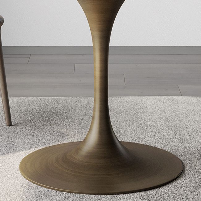 Traditional Luxury Tulip Base Furniture Round Stone Dining Table for Home Clearhalo ' dining_table' 'Dining Tables & Seating' 'Dining Tables' 'furn' 'furn_dining_table' 'Furniture' 'furniture_dining_table' 'Kitchen & Dining Furniture' 'kitchen&dining_furn' 'kitchen' 'kitchen_dining_table' 1200x1200_fffef7c2-6ab4-462a-a3b3-e386a0dd9f6a