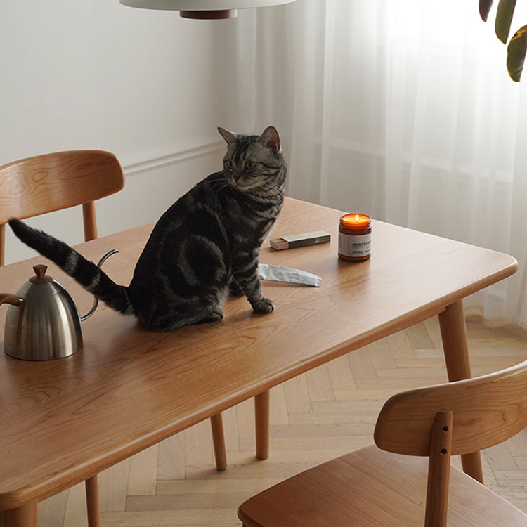 Rectangle Contemporary Solid Wood Dining Room Set with 4 Legs Table Dining Table Sets Clearhalo 'Dining Room Sets' 'Dining Tables & Seating' 'dining_room_set' 'Furniture' 'furniture_dining_room_set' 'Kitchen & Dining Furniture' 'kitchen&dining_furn' 'kitchen' 3348059