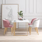 Scandinavian Sintered Stone Dining Table Set White Rectangle Dining Set for Home Use with 4 Chairs Clearhalo 'Dining Room Sets' 'Dining Tables & Seating' 'dining_room_set' 'furn' 'furn_dining_room_set' 'Furniture' 'furniture_dining_room_set' 'Kitchen & Dining Furniture' 'kitchen&dining_furn' 'kitchen' 3361350
