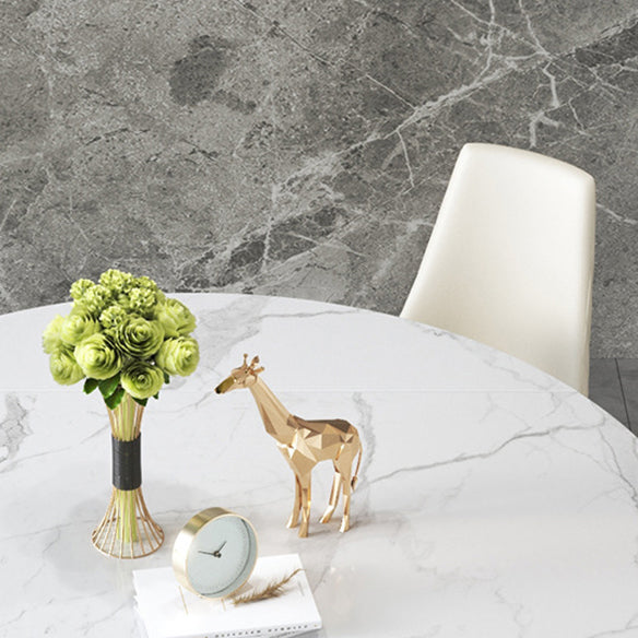 Modern Sintered Stone Dining Room Set with Round Top and Pedestal Base Dining Furniture Clearhalo 'Dining Room Sets' 'Dining Tables & Seating' 'dining_room_set' 'furn' 'furn_dining_room_set' 'Furniture' 'furniture_dining_room_set' 'Kitchen & Dining Furniture' 'kitchen&dining_furn' 'kitchen' 3376026