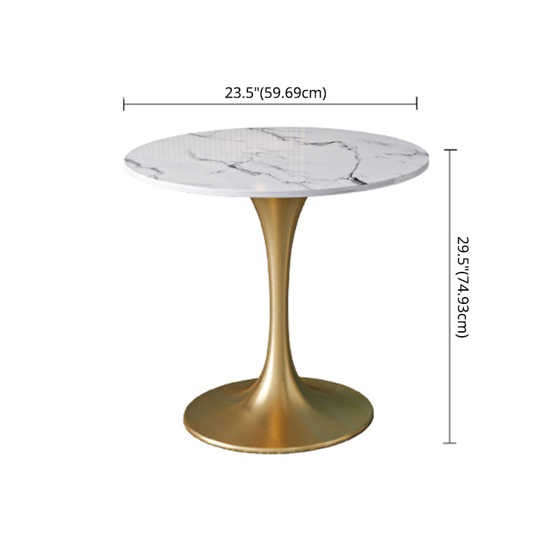 Sintered Stone Scandinavian Dining¬†Room¬†Table¬†Set with Round Table and Metal Base Dinette Set Clearhalo 'Dining Room Sets' 'Dining Tables & Seating' 'dining_room_set' 'furn' 'furn_dining_room_set' 'Furniture' 'furniture_dining_room_set' 'Kitchen & Dining Furniture' 'Kitchen Furniture' 'kitchen&dining_furn' 'kitchen' '„Éõ„Éº„É†' 3384859