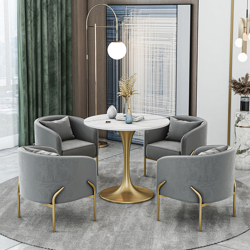 Modern Sintered Stone Dining Room Set with Round Top and Gold Base Furniture Grey 5 Piece Set Clearhalo 'Dining Room Sets' 'Dining Tables & Seating' 'dining_room_set' 'furn' 'furn_dining_room_set' 'Furniture' 'furniture_dining_room_set' 'Kitchen & Dining Furniture' 'kitchen&dining_furn' 'kitchen' 3401926