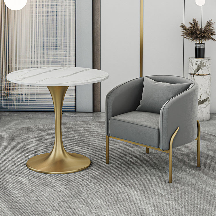 Modern Sintered Stone Dining Room Set with Round Top and Gold Base Furniture Clearhalo 'Dining Room Sets' 'Dining Tables & Seating' 'dining_room_set' 'furn' 'furn_dining_room_set' 'Furniture' 'furniture_dining_room_set' 'Kitchen & Dining Furniture' 'kitchen&dining_furn' 'kitchen' 3401942