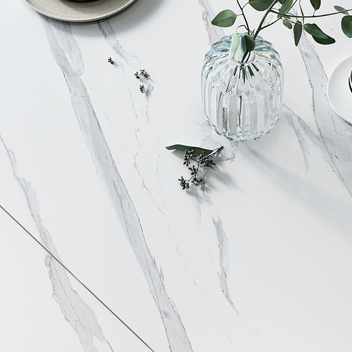 Modern Sintered Stone Dining Room Set with Black Base Dining Furniture for Home Use Clearhalo 'Dining Room Sets' 'Dining Tables & Seating' 'dining_room_set' 'furn' 'furn_dining_room_set' 'Furniture' 'furniture_dining_room_set' 'Kitchen & Dining Furniture' 'kitchen&dining_furn' 'kitchen' 3446937