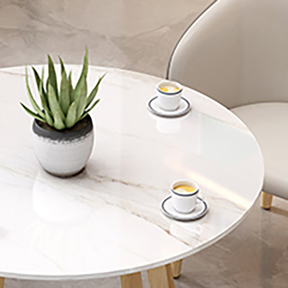 Modern Style Round Dining¬†Room¬†Table¬†Set with Sintered Stone Dinette Set with 4 Legs Table Clearhalo 'Dining Room Sets' 'Dining Tables & Seating' 'dining_room_set' 'furn' 'furn_dining_room_set' 'Furniture' 'furniture_dining_room_set' 'Kitchen & Dining Furniture' 'kitchen&dining_furn' 'kitchen' 3447772