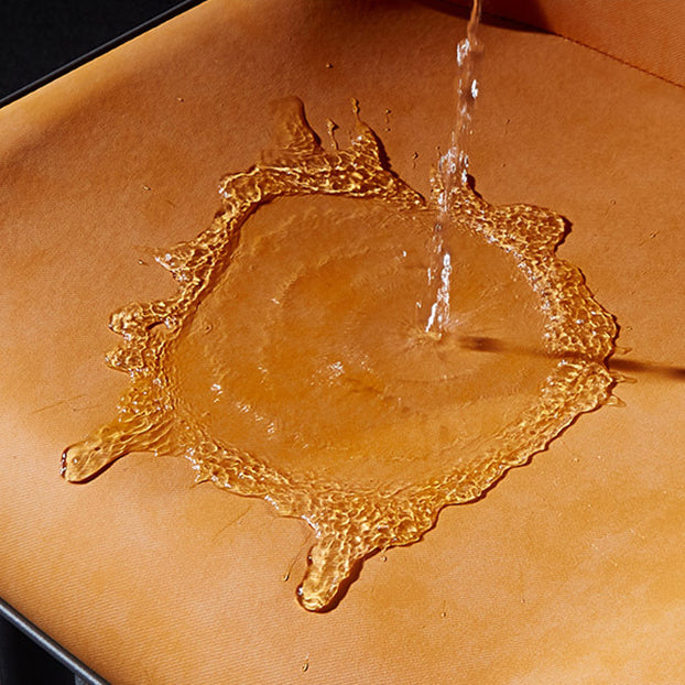 Modern Leather Dining Side Chair Indoor Wingback Chair with Black Legs Clearhalo ' kitchen&dining_furn' 'Dining Chairs' 'Dining Tables & Seating' 'dining_chair' 'Furniture' 'furniture_dining_chair' 'Kitchen & Dining Furniture' 'kitchen' 3453237