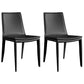 Metal Contemporary Dining Room Chairs Metallic Finish Parsons Dining Chairs Black Set of 2 Clearhalo ' kitchen&dining_furn' 'Dining Chairs' 'Dining Tables & Seating' 'dining_chair' 'Furniture' 'furniture_dining_chair' 'Kitchen & Dining Furniture' 'kitchen' 3453466